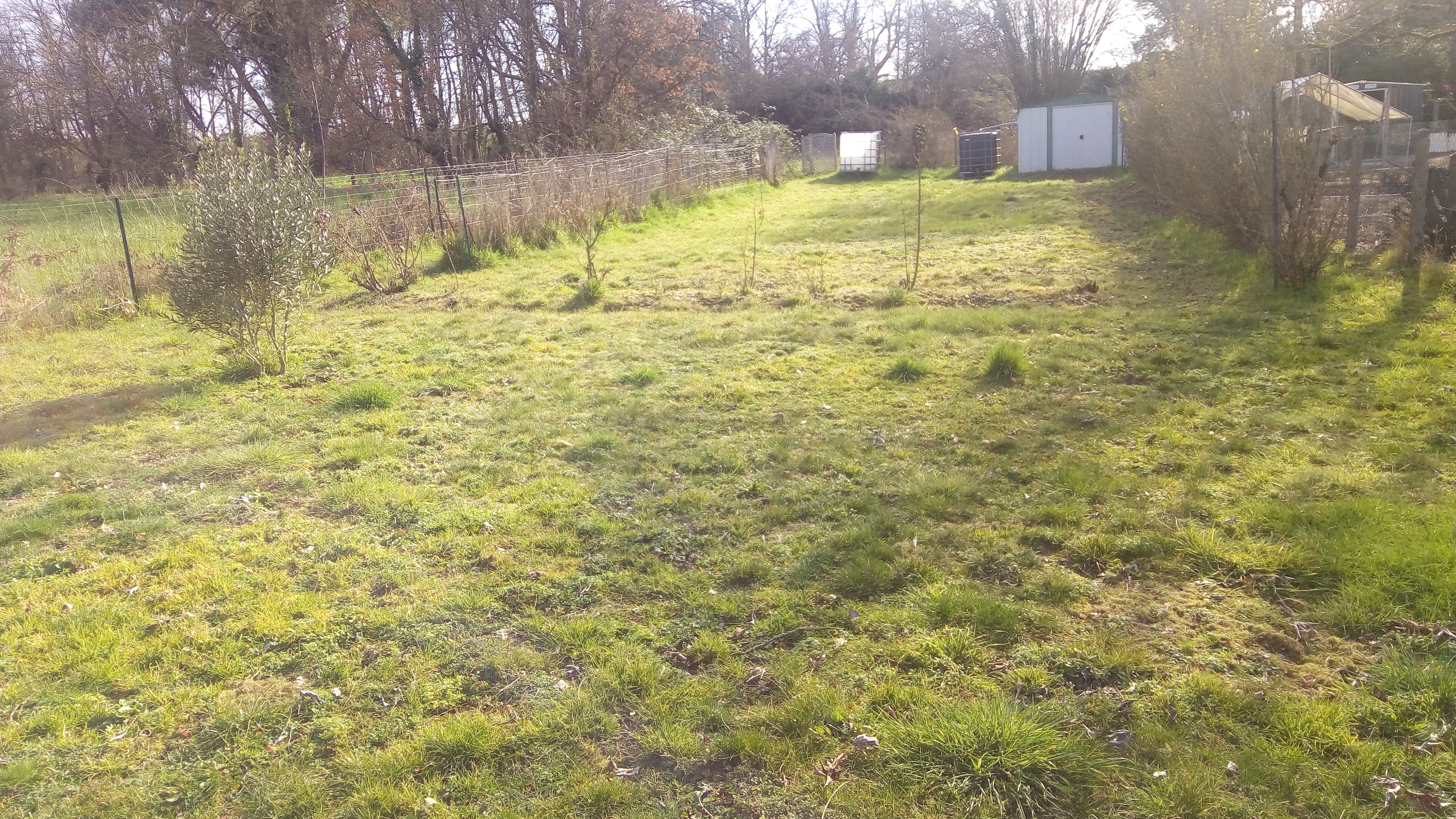 Jardin & Abri de jardin